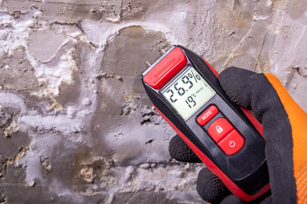 Best Mold Testing  in Fletcher, OK